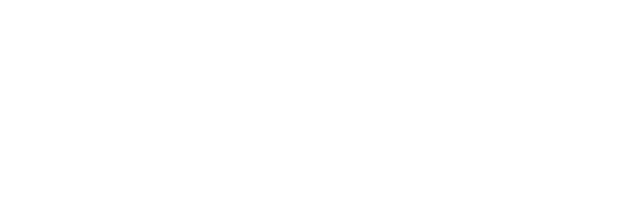 Zeidler IT-Consulting